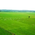 gameshow-chuyen-nha-nong