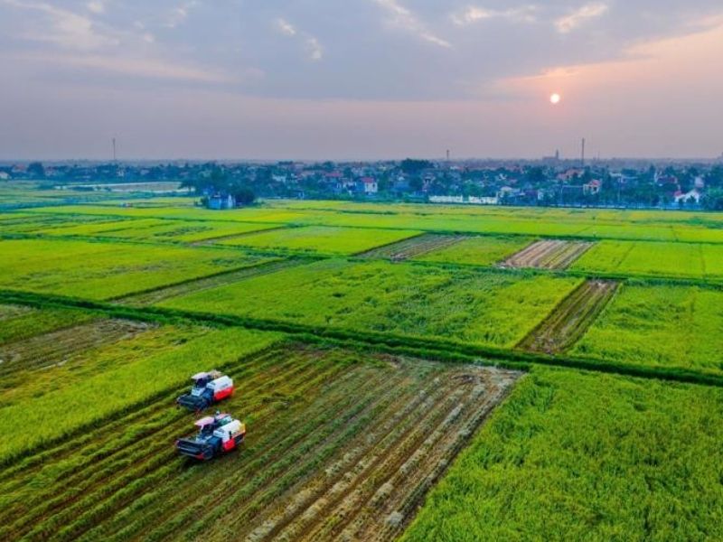 gameshow-chuyen-nha-nong-2