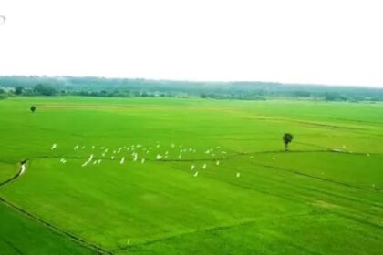 gameshow-chuyen-nha-nong