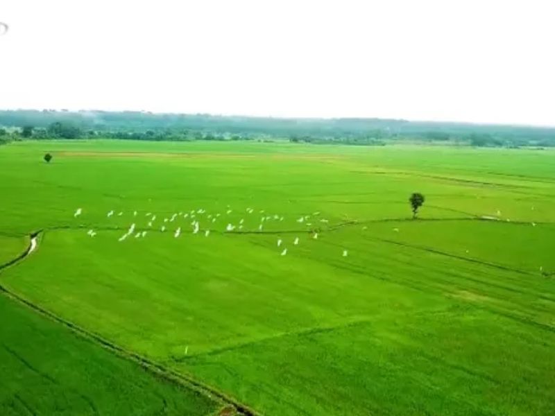 gameshow-chuyen-nha-nong