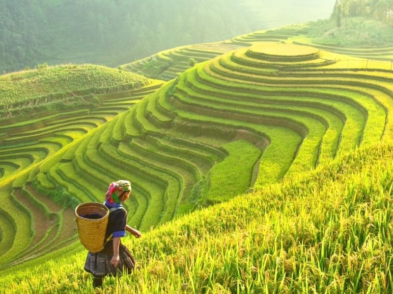 gameshow-du-lich-viet-nam-2