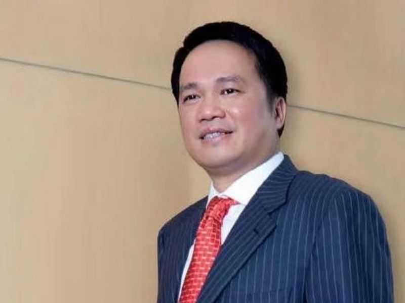 ty-phu-ho-hung-anh-1